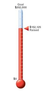 Thermometer to measure 202k commitment